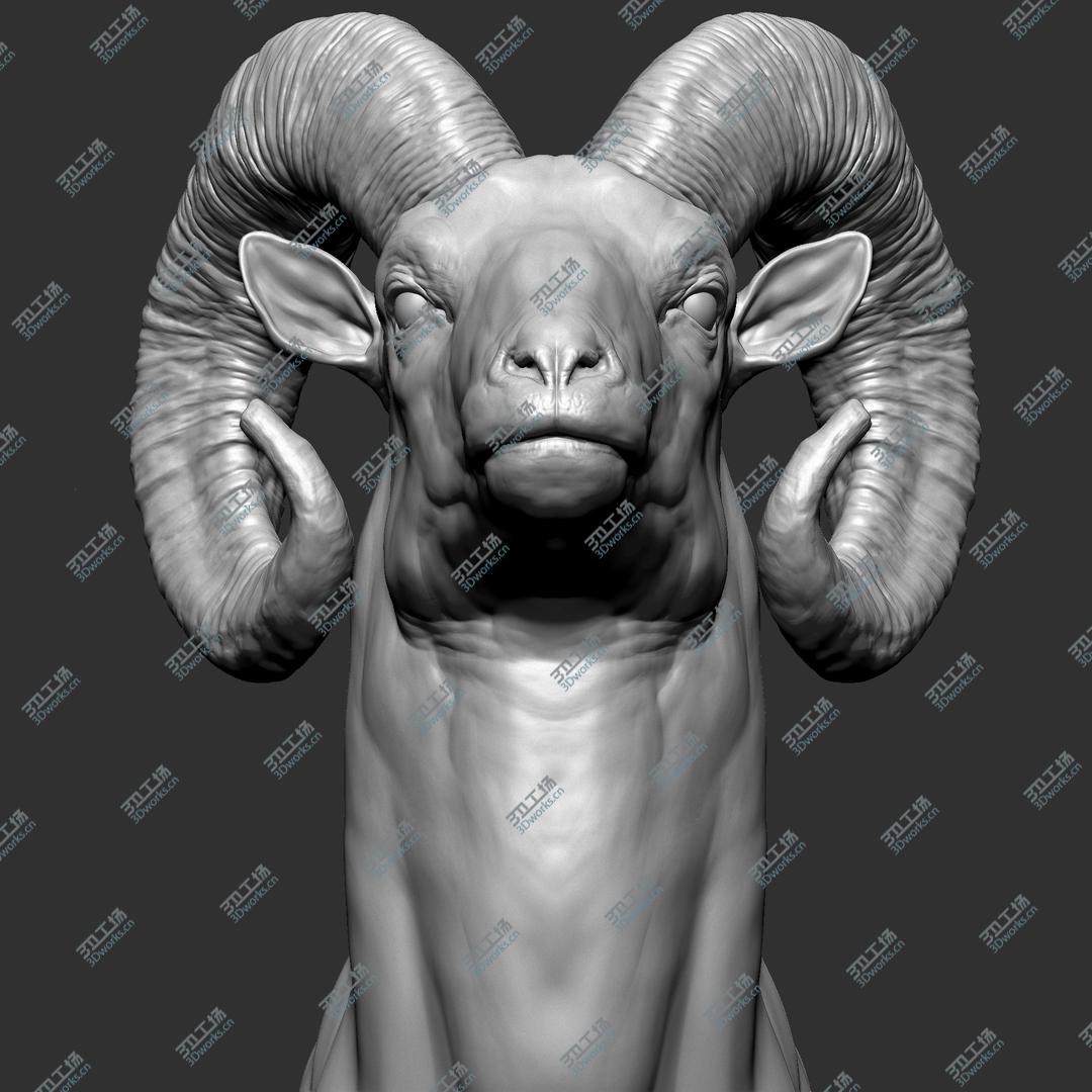 images/goods_img/2021040231/Bighorn sheep muflon model/4.jpg